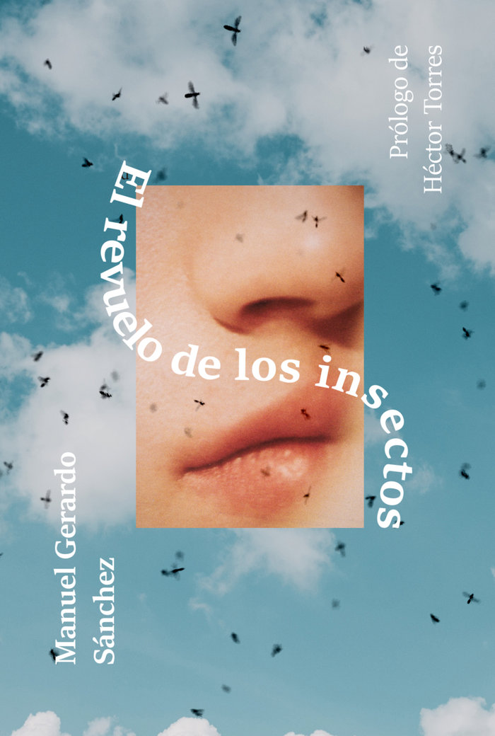 REVUELO DE LOS INSECTOSEL - 9788417319946 Imagen principal del producto