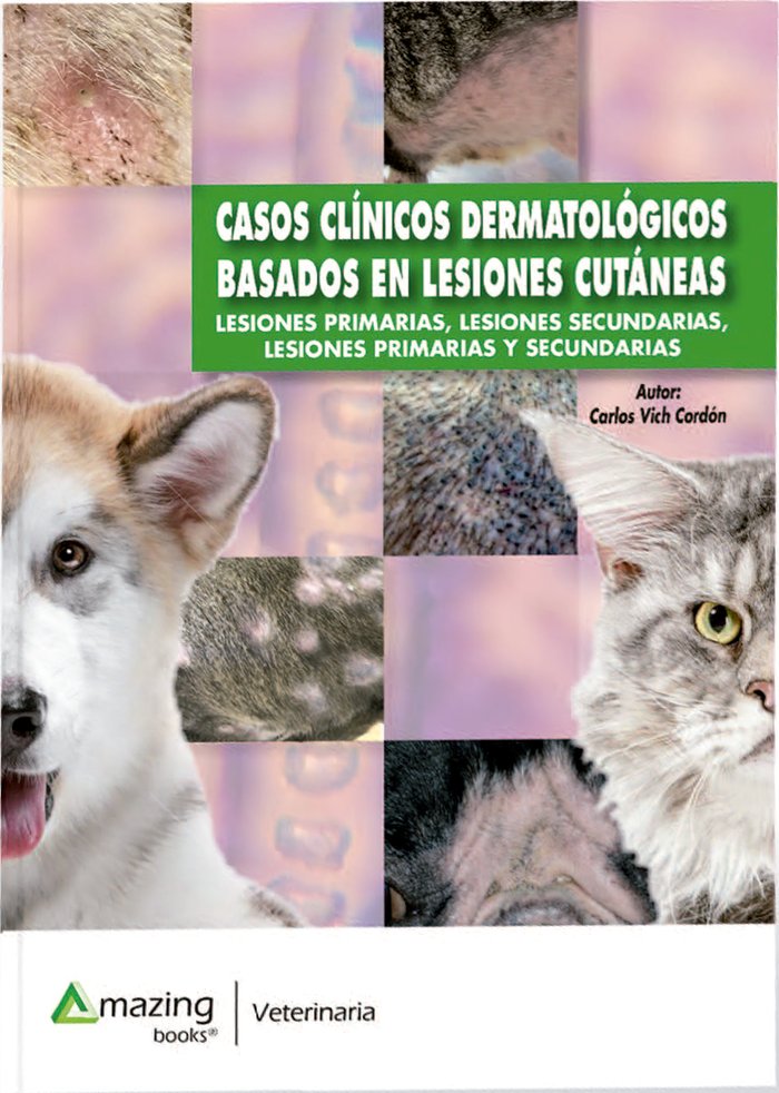 CASOS CLINICOS DERMATOLOGICOS BASADOS EN LESIONES CUTANEAS - 9788417403539