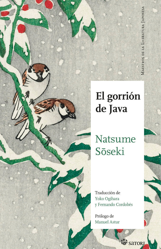 GORRION DE JAVAEL - 9788417419318