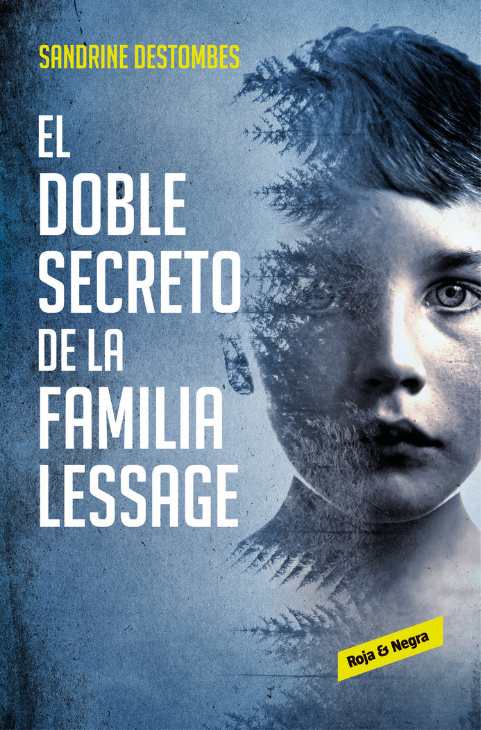 DOBLE SECRETO DE LA FAMILIA LESSAGEEL - 9788417511494 Imagen principal del producto