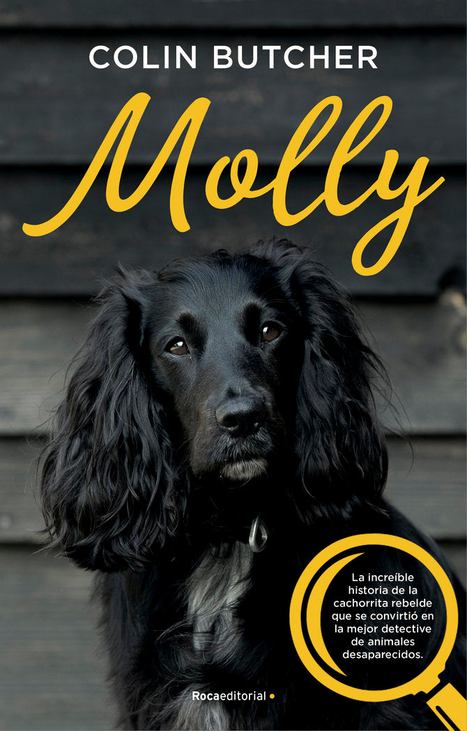 MOLLY - 9788417541033 Imagen principal del producto