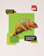 DISCOVER ANIMALS 2º de Primaria NATURAL SCIENCE 20 LEARN TOGETHER | AA,VV | 9788417621735 (Byme,Mc Millan Edelvives Bilin)