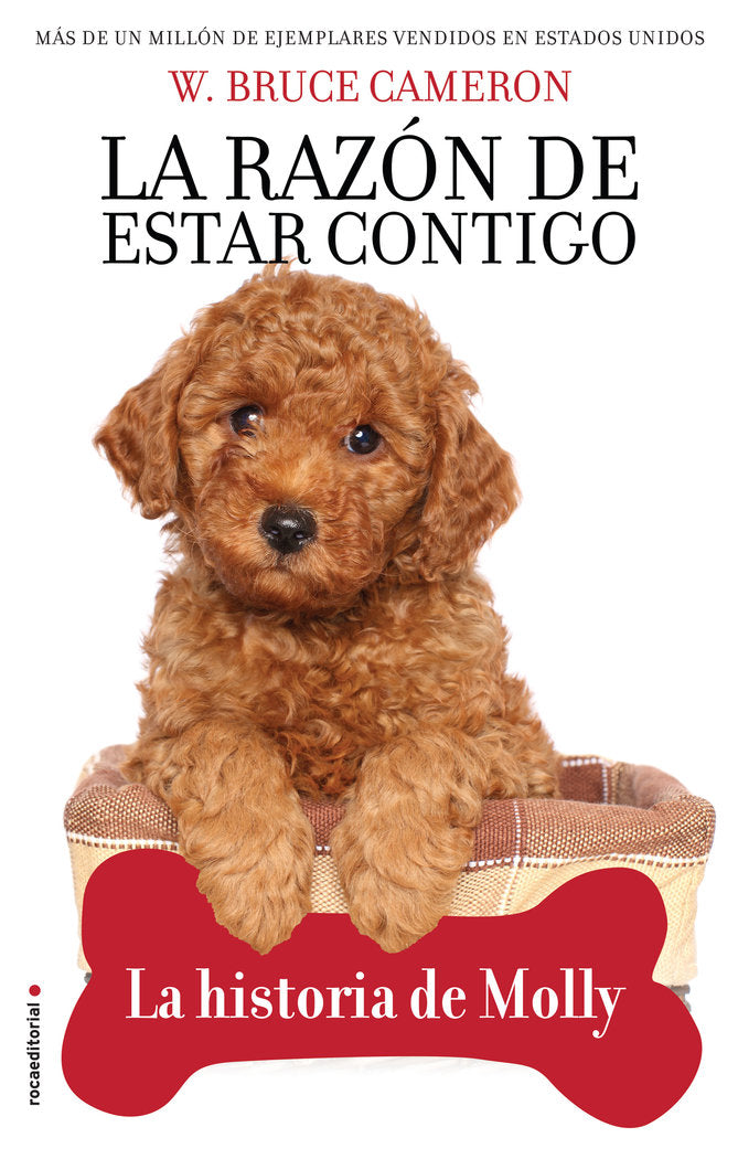 LA RAZON DE ESTAR CONTIGO LA HISTORIA DE - 9788417968007 Imagen principal del producto
