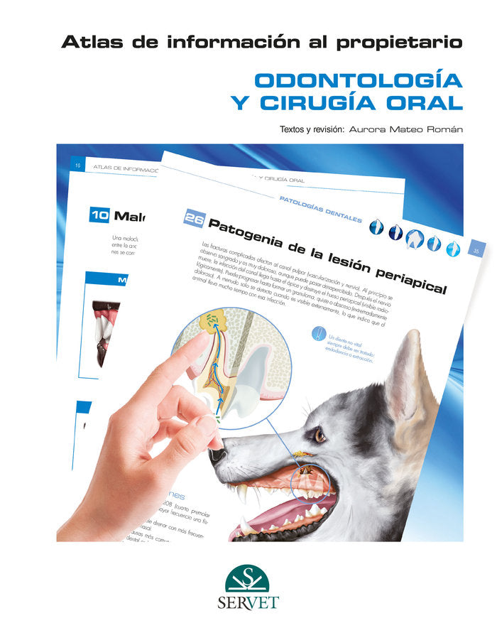 ATLAS DE INFORMACION AL PROPIETARIO ODONTO - 9788418020445 Imagen principal del producto