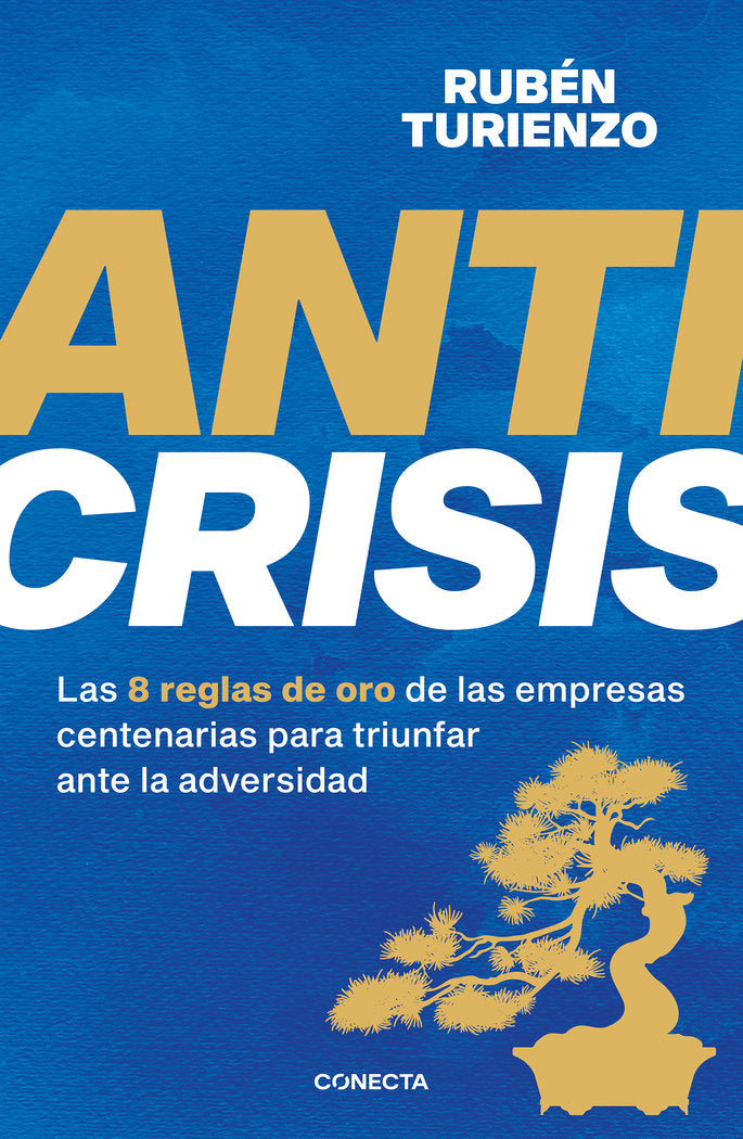ANTICRISIS | RUBEN TURIENZO | CONECTA | 9788418053085 Imagen principal del producto