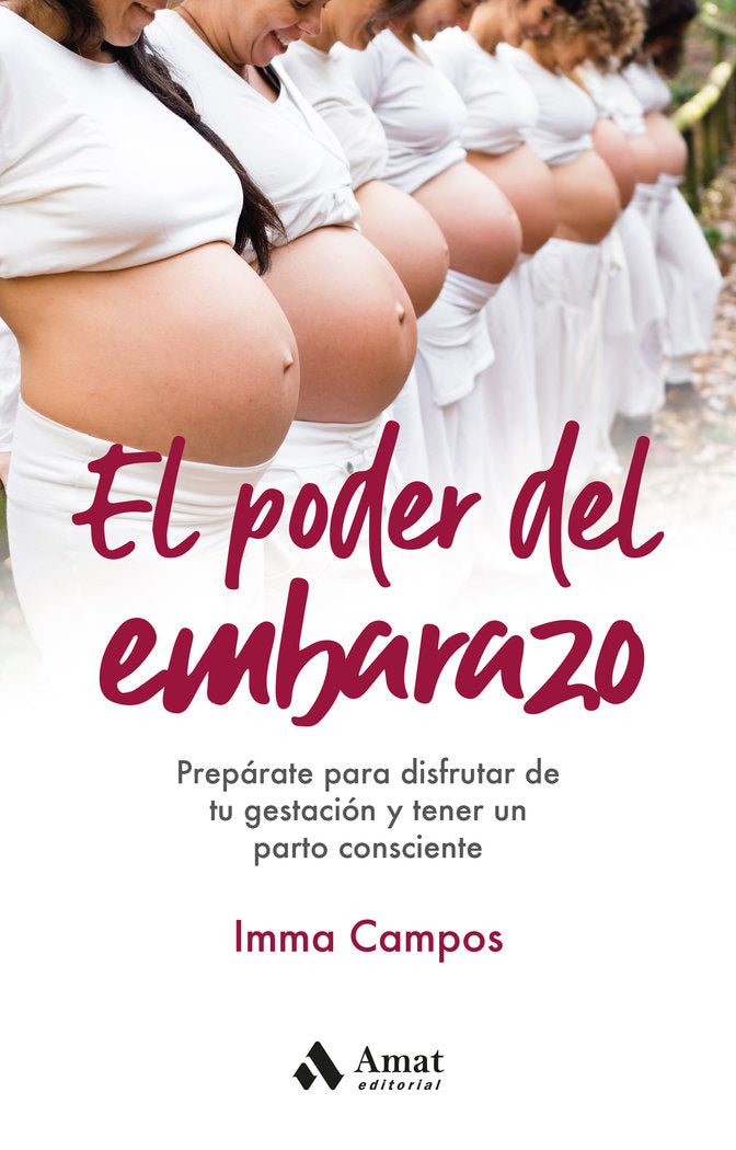 EL PODER DEL EMBARAZO - 9788418114885 Imagen principal del producto