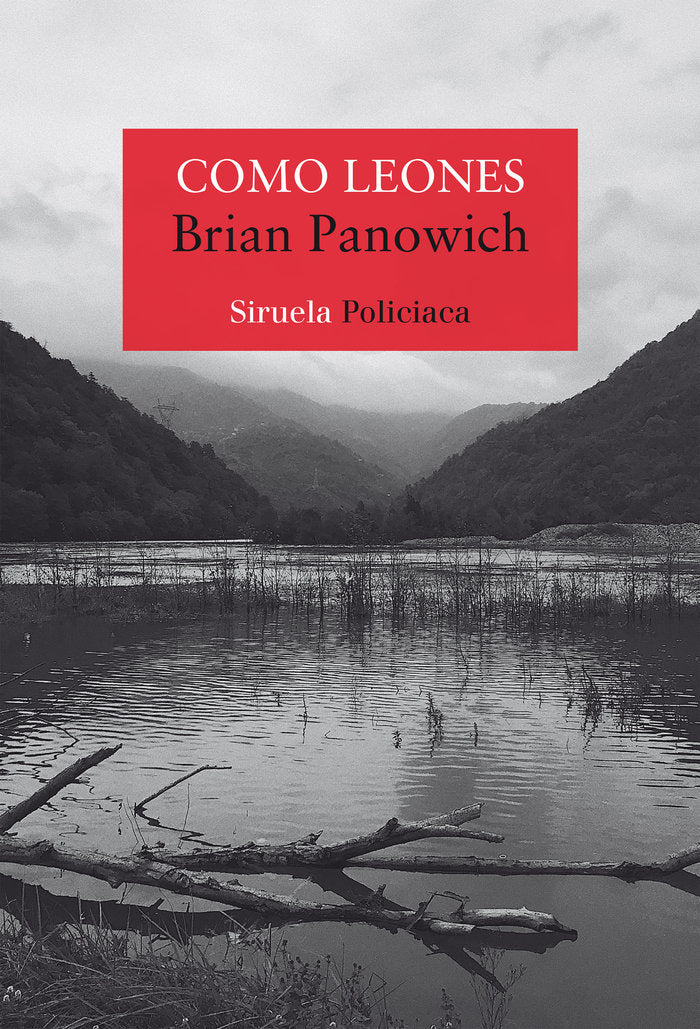 COMO LEONES - 9788418245572 Imagen principal del producto