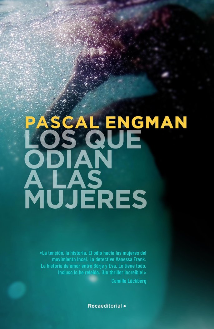 LOS QUE ODIAN A LAS MUJERES SERIE VANESSA - 9788418417443 Imagen principal del producto