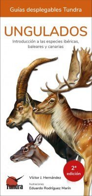 UNGULADOS INTRODUCCION A LAS ESPECIES IBERICASBALEARES Y - 9788418458064