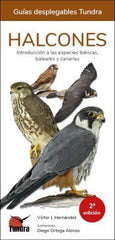 HALCONES GUIAS DESPLEGABLES TUNDRA - 9788418458071