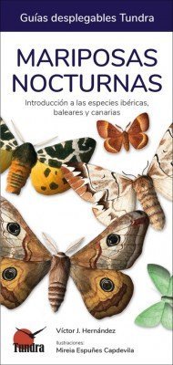 MARIPOSAS NOCTURNAS - 9788418458408 Imagen principal del producto