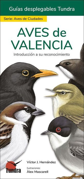 AVES DE VALENCIA GUIAS DESPLEGABLES TUNDRA - 9788418458460 Imagen principal del producto