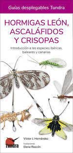 HORMIGAS LEON ASCALAFIDOS Y CRISPOSAS - 9788418458507 Imagen principal del producto