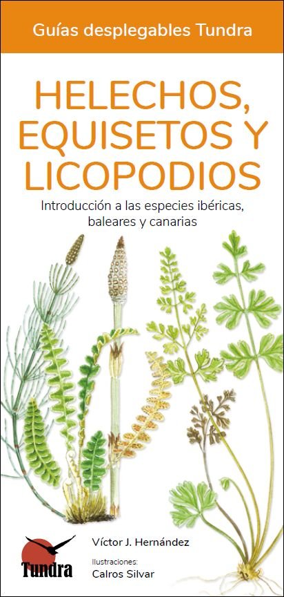 HELECHOS EQUISETOS Y LICOPODIOS - 9788418458552 Imagen principal del producto