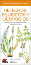 HELECHOS EQUISETOS Y LICOPODIOS - 9788418458552
