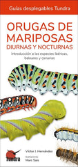 ORUGAS DE MARIPOSAS GUIAS DESPLEGABLES TUNDRA - 9788418458613