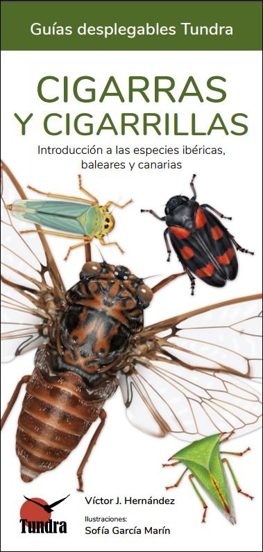 CIGARRAS Y CIGARRILLAS - 9788418458637 Imagen principal del producto