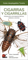 CIGARRAS Y CIGARRILLAS - 9788418458637