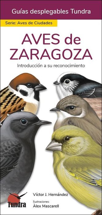 AVES DE ZARAGOZA GUIAS DESPLEGABLES TUNDRA - 9788418458644