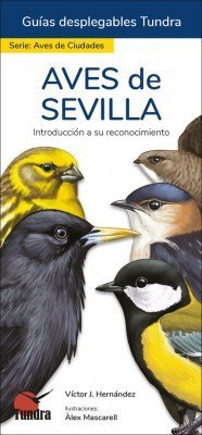 AVES DE SEVILLA GUIAS DESPLEGABLES TUNDRA - 9788418458651 Imagen principal del producto