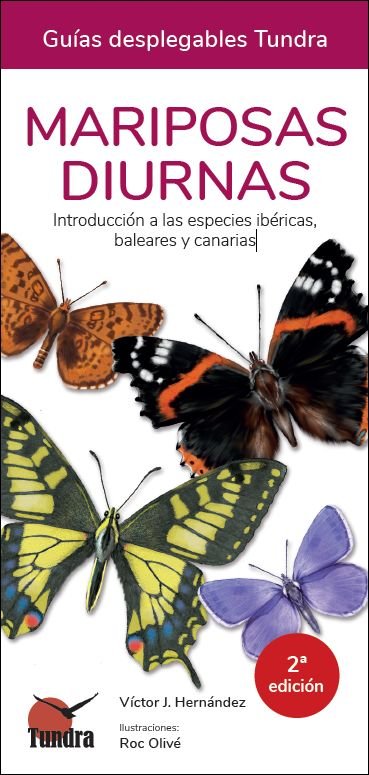 MARIPOSAS DIURNAS INTRODUCCION ESPECIES IBERICAS BALEARES C - 9788418458699 Imagen principal del producto
