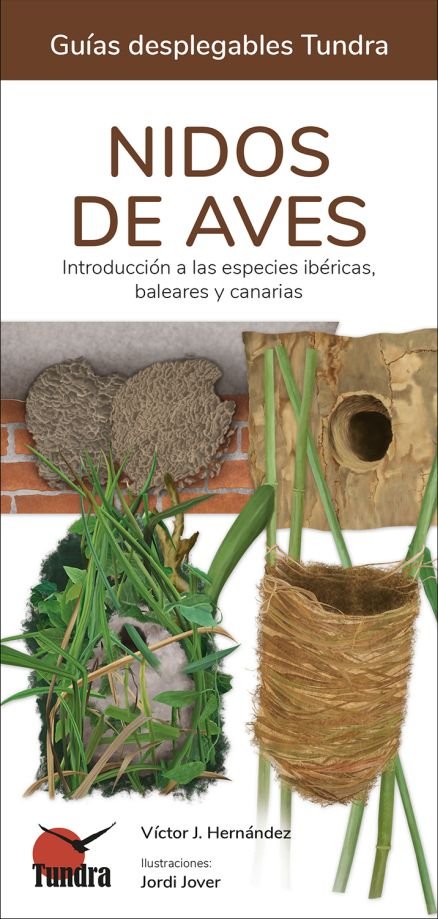 NIDOS DE AVES GUIAS DESPLEGABLES TUNDRA - 9788418458859 Imagen principal del producto