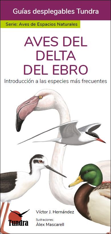AVES DEL DELTA DEL EBRO - 9788418458941
