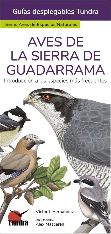 AVES DE LA SIERRA DE GUADARRAMA - 9788418458965 Imagen principal del producto