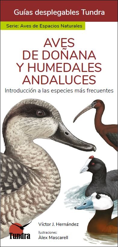 AVES DE DOÑANA Y HUMEDALES ANDALUCES GUIAS DESPLEGABLES TUN - 9788418458972