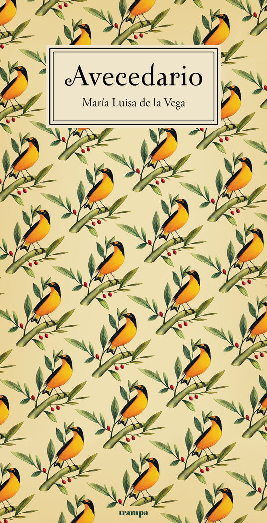 AVECEDARIO - 9788418469084