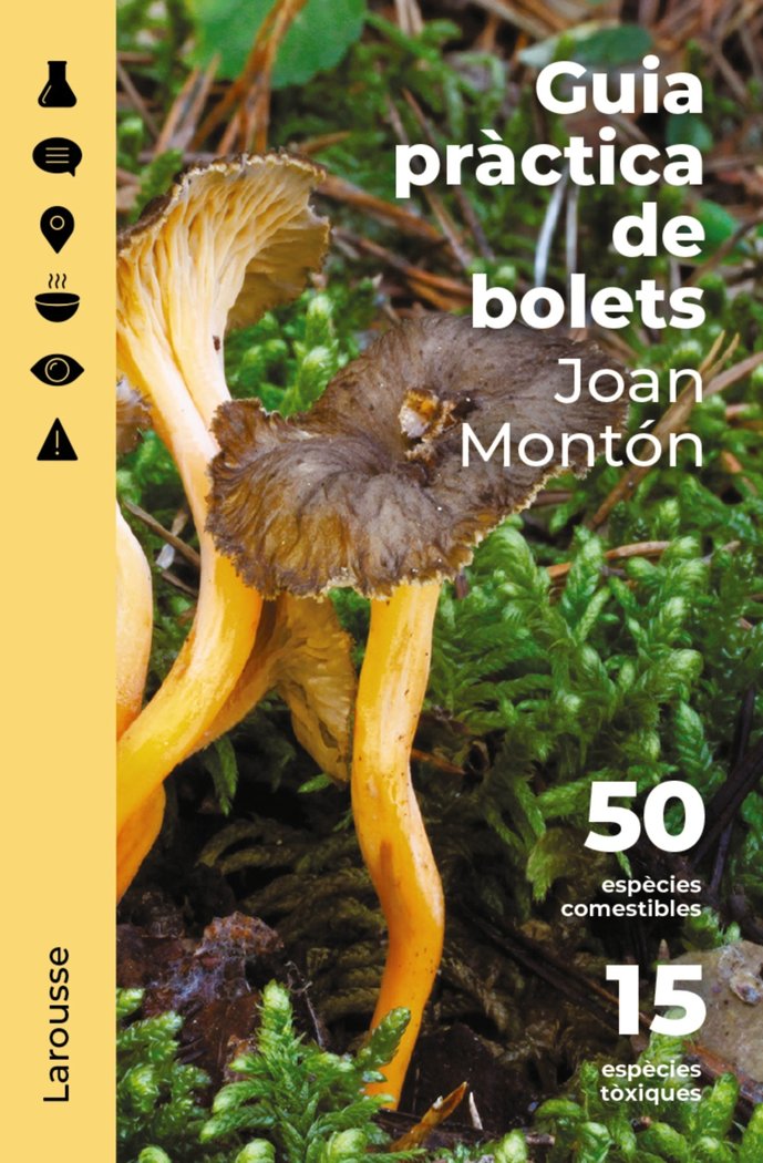 GUIA PRACTICA DE BOLETS - 9788418473852 Imagen principal del producto