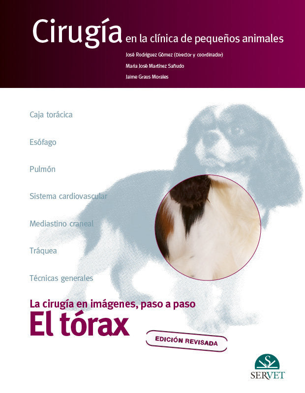 EL TORAX CIRUGIA EN LA CLINICA DE PEQUEÑO - 9788418498763