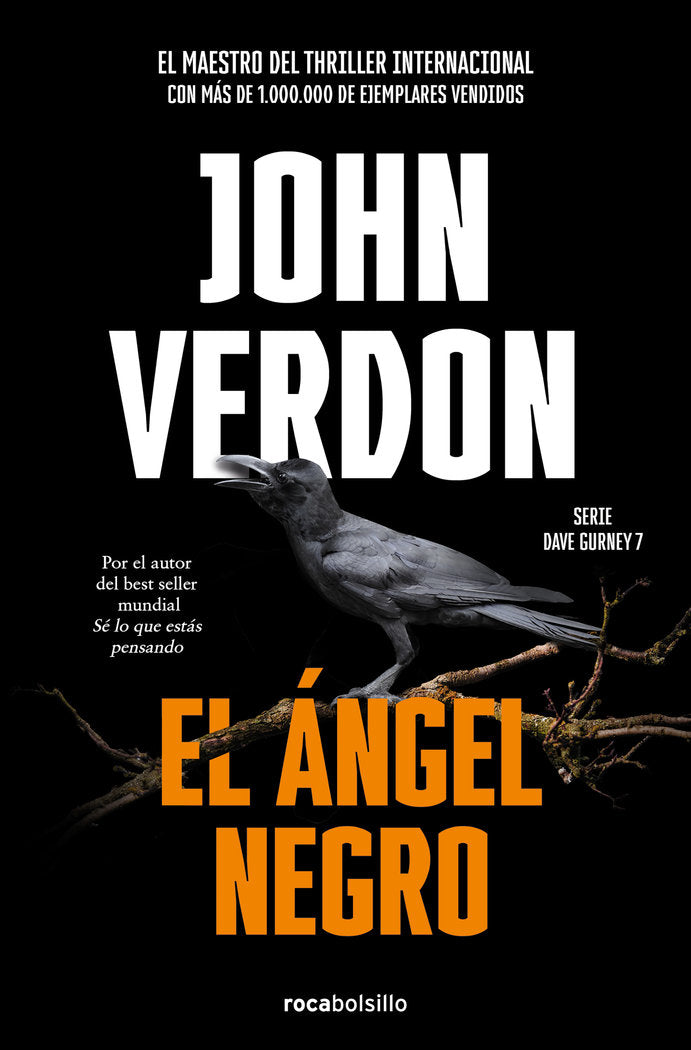 EL ANGEL NEGRO - 9788418850127 Imagen principal del producto