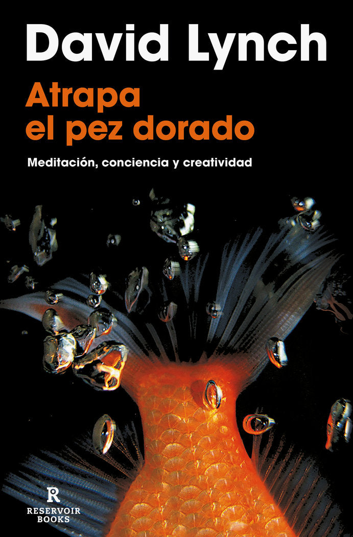 ATRAPA EL PEZ DORADO | LYNCH,DAVID | RESERVOIR BOOKS | 9788418897436 Imagen principal del producto