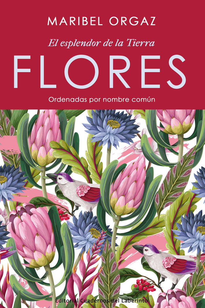 9788418997198 Imagen principal del producto
