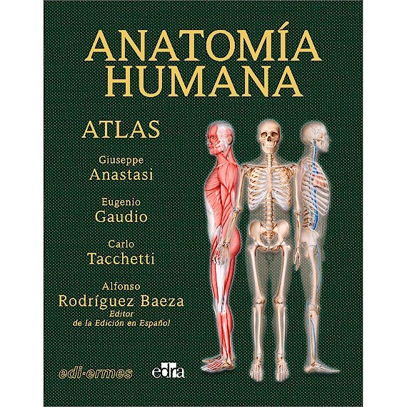 VOL II ANATOMIA HUMANA ATLAS INTERACTIVO MULTIMEDIA SEGU - 9788419156419 Imagen principal del producto