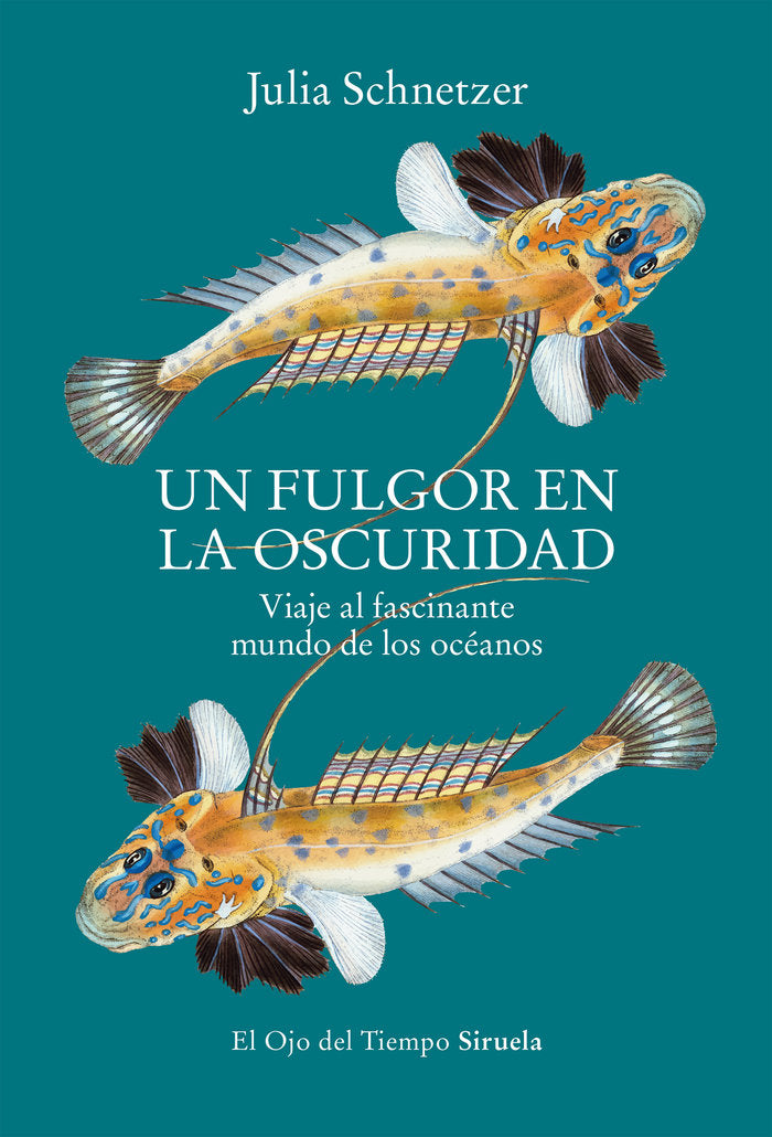 UN FULGOR EN LA OSCURIDAD - 9788419553119 Imagen principal del producto