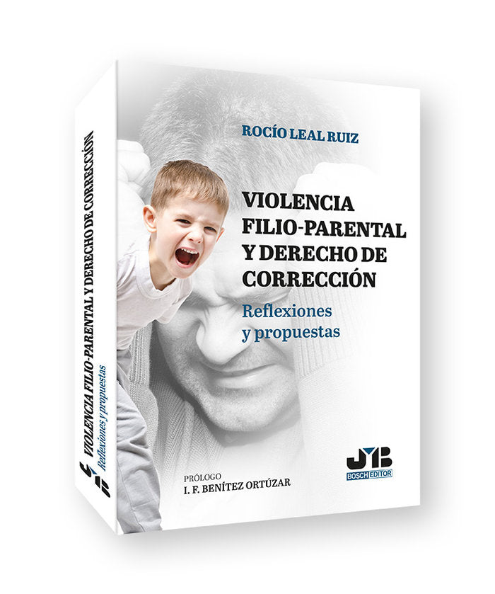 VIOLENCIA FILIO PARENTAL Y DERECHO DE CORRECCION DE PADRES Y - 9788419580863 Imagen principal del producto