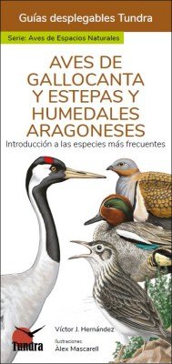 AVES DE GALLOCANTA Y ESTEPAS Y HUMEDALES ARAGONESES - 9788419624017