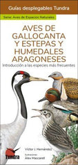 AVES DE GALLOCANTA Y ESTEPAS Y HUMEDALES ARAGONESES - 9788419624017