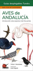 AVES DE ANDALUCIA GUIAS DESPLEGABLES TUNDRA - 9788419624093