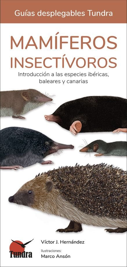 MAMIFEROS INSECTIVOROS - 9788419624130 Imagen principal del producto