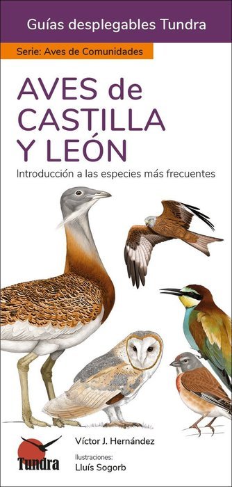 AVES DE CASTILLA Y LEON GUIAS DESPLEGABLES TUNDRA - 9788419624260 Imagen principal del producto