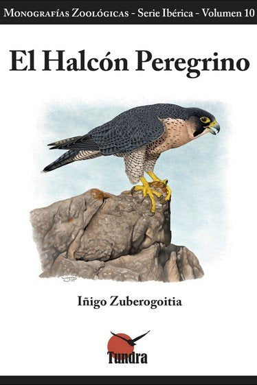 EL HALCON PEREGRINO - 9788419624345 Imagen principal del producto