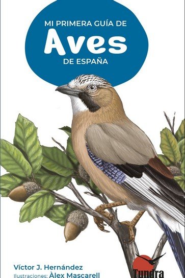 MI PRIMERA GUIA DE AVES DE ESPAÑA - 9788419624390 Imagen principal del producto