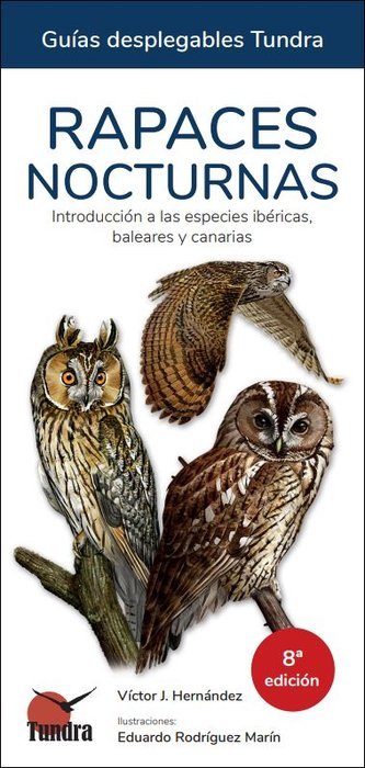 RAPACES NOCTURNAS - 9788419624406 Imagen principal del producto