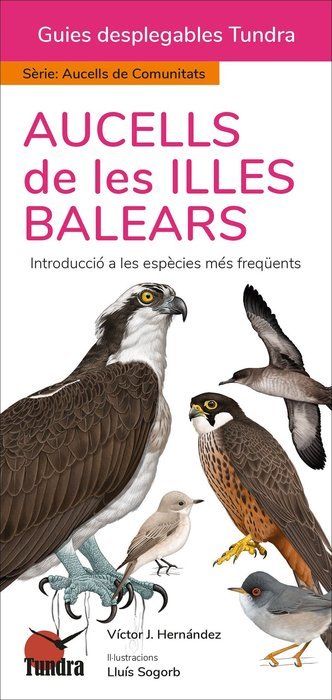 AUCELLS DE LES ISLES BALEARS - 9788419624420 Imagen principal del producto