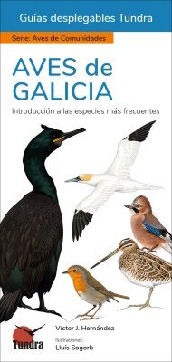 AVES DE GALICIA - 9788419624437 Imagen principal del producto