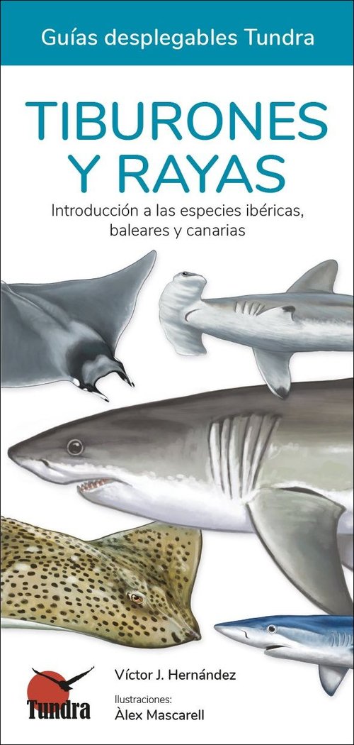 TIBURONES Y RAYAS GUIAS DEPLEGABLES - 9788419624482