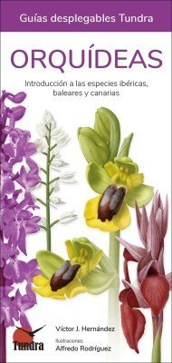 ORQUIDEAS INTRODUCCION A LAS ESPECIES IBERICAS BALEARES CAN - 9788419624499